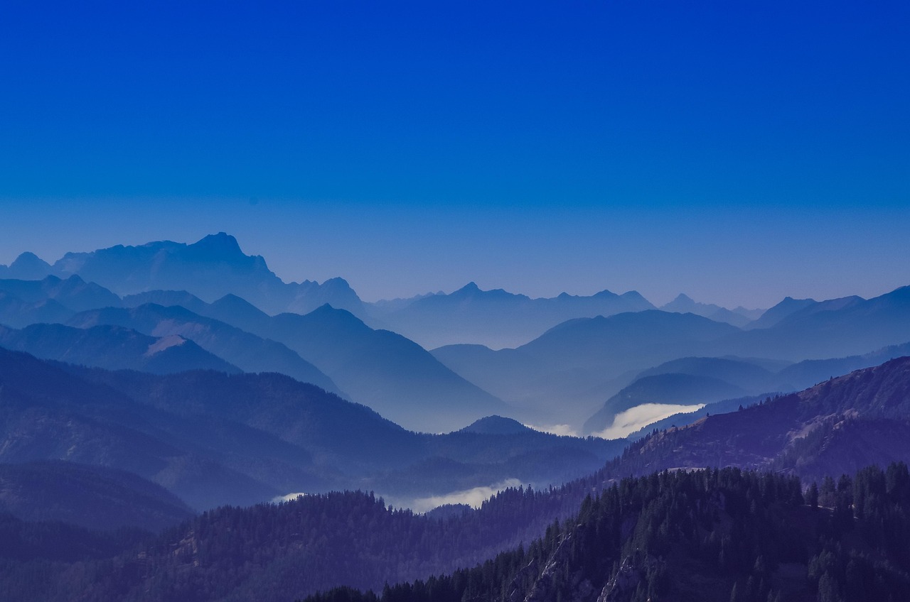 玩家时代2如何让企业的营销策略与用户需求相同步