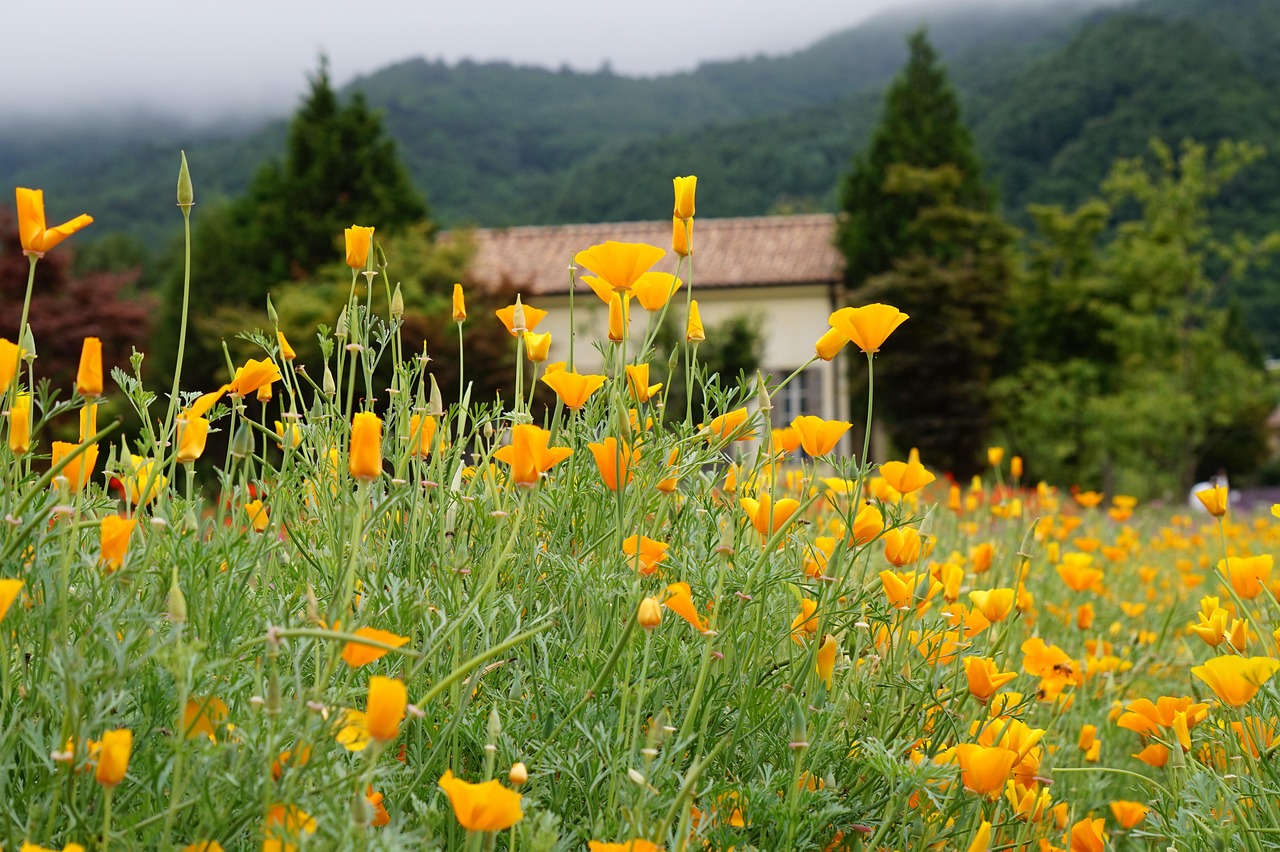 依云企业营销的创新性思维方式